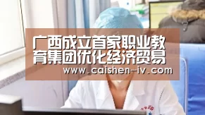 广西成立首家职业教育集团优化经济贸易职教体系“乐发llapp