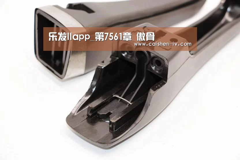 乐发llapp_第7561章 傲骨