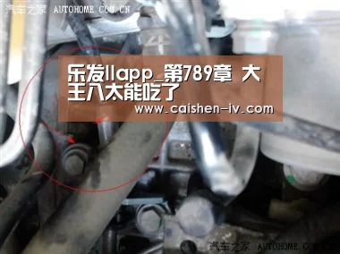 乐发llapp_第789章 大王八太能吃了(图3) 乐发llapp