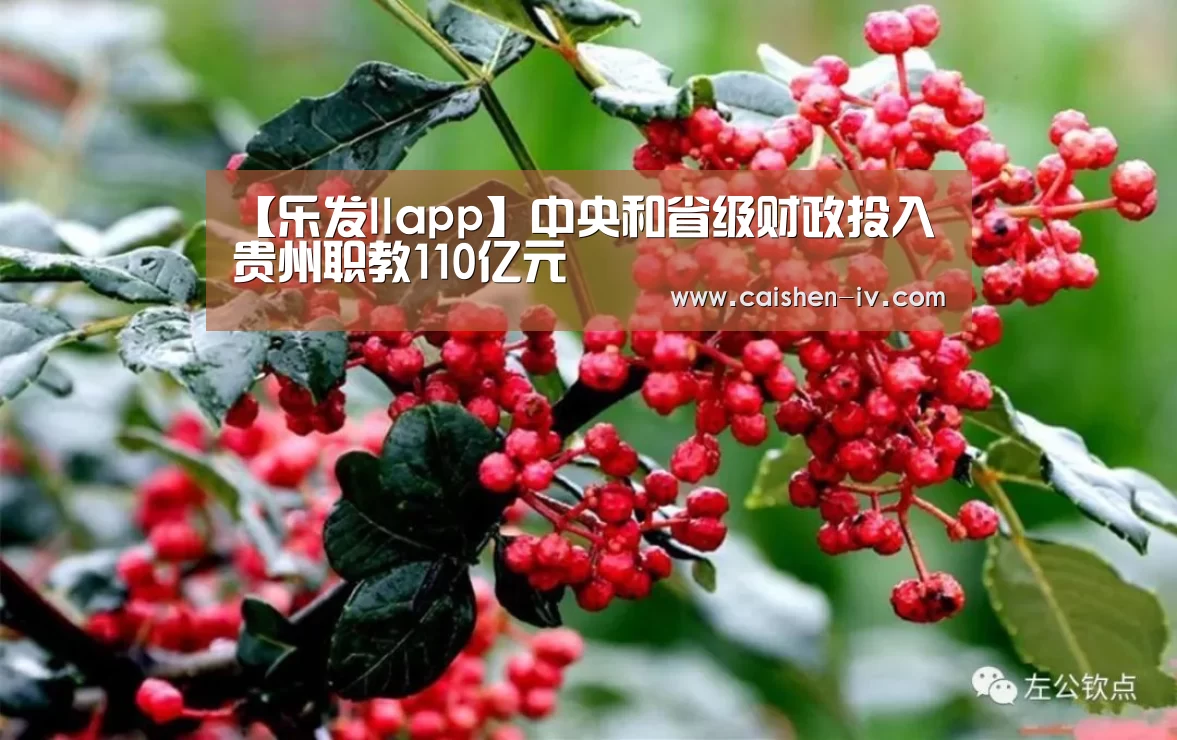 乐发llapp