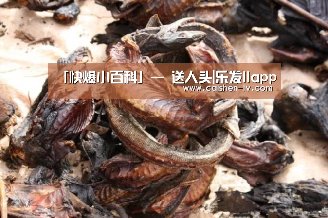 「快爆小百科」— 送人头|乐发llapp